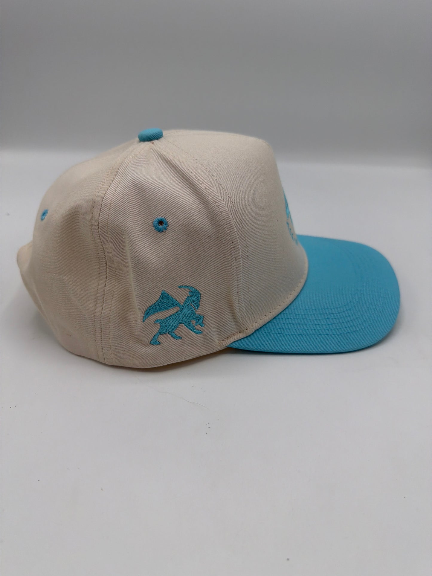 I Can Do All Things Hat
