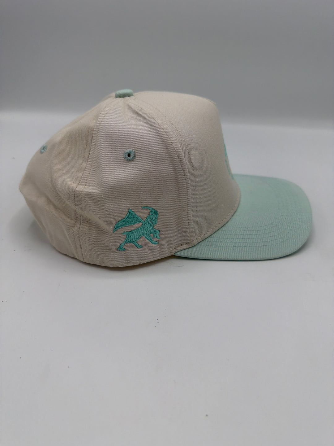 I Can Do All Things Hat