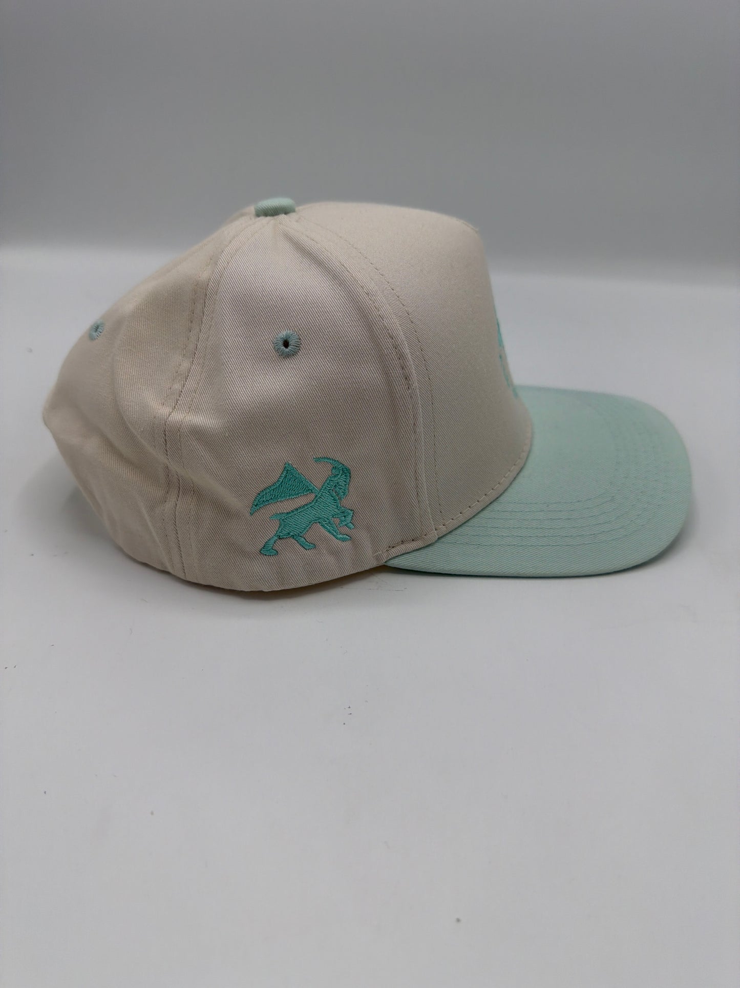 I Can Do All Things Hat