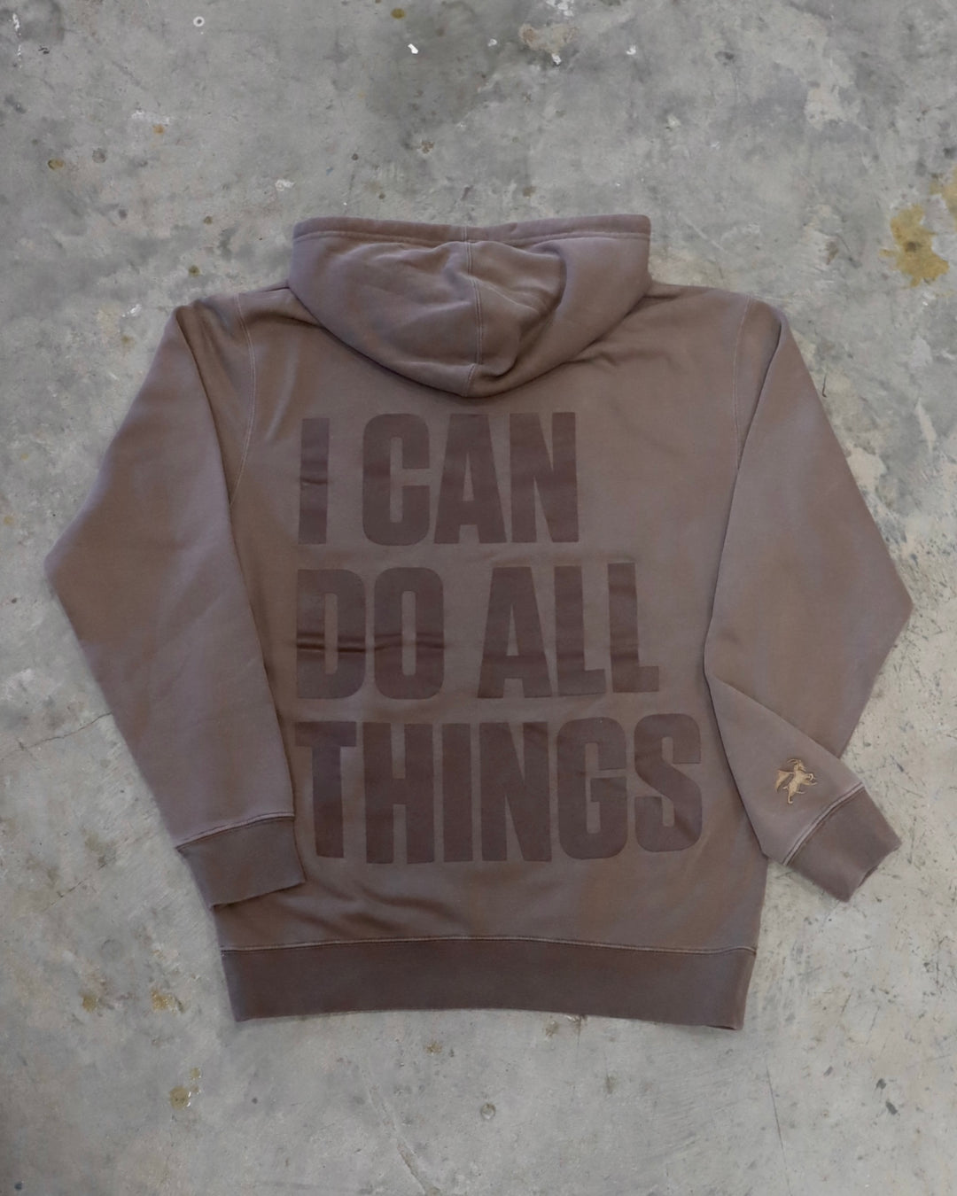 I Can Do All Things Hoodie