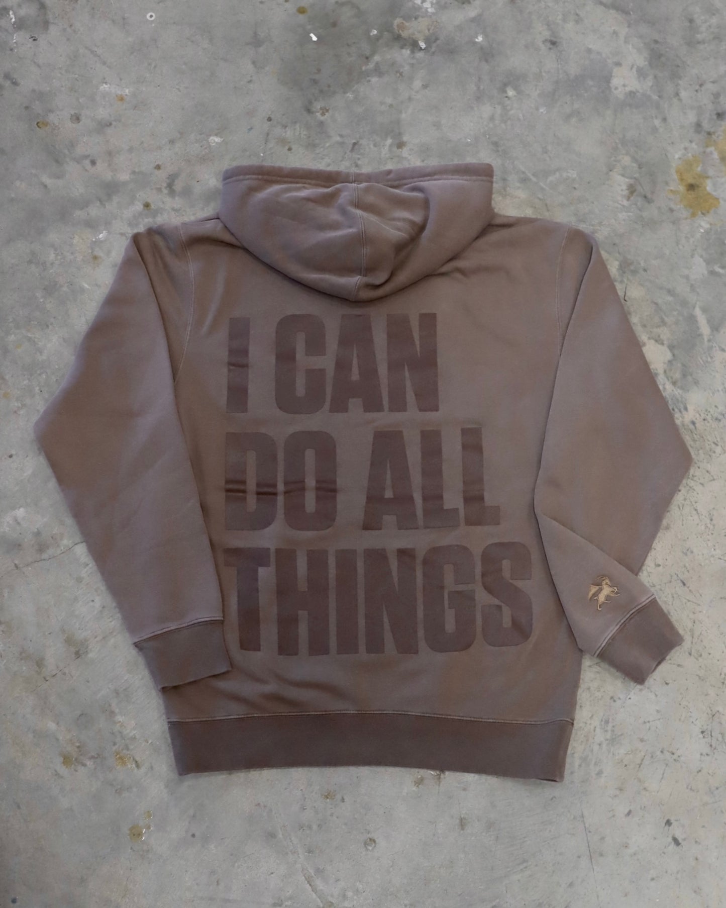 I Can Do All Things Hoodie