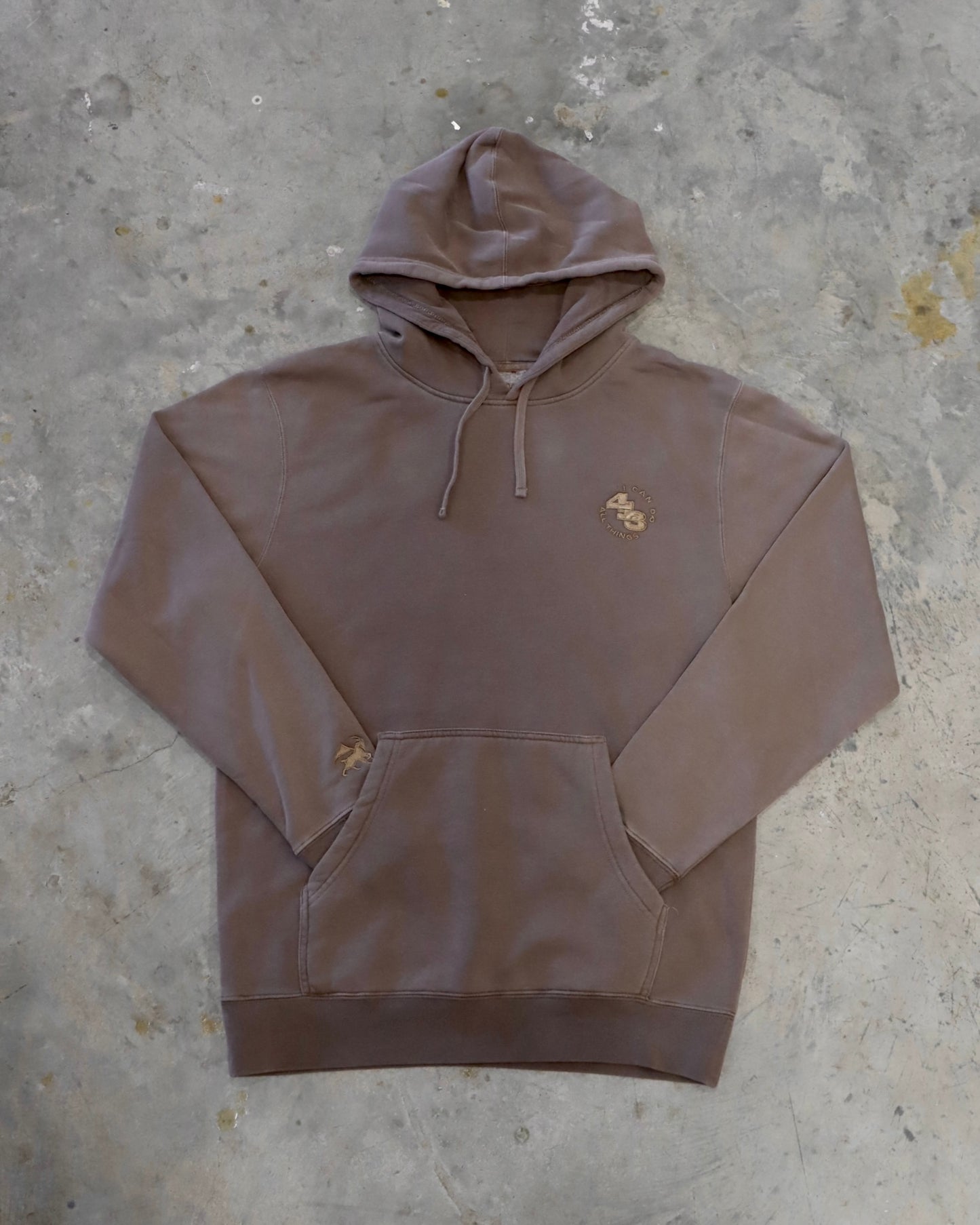 I Can Do All Things Hoodie