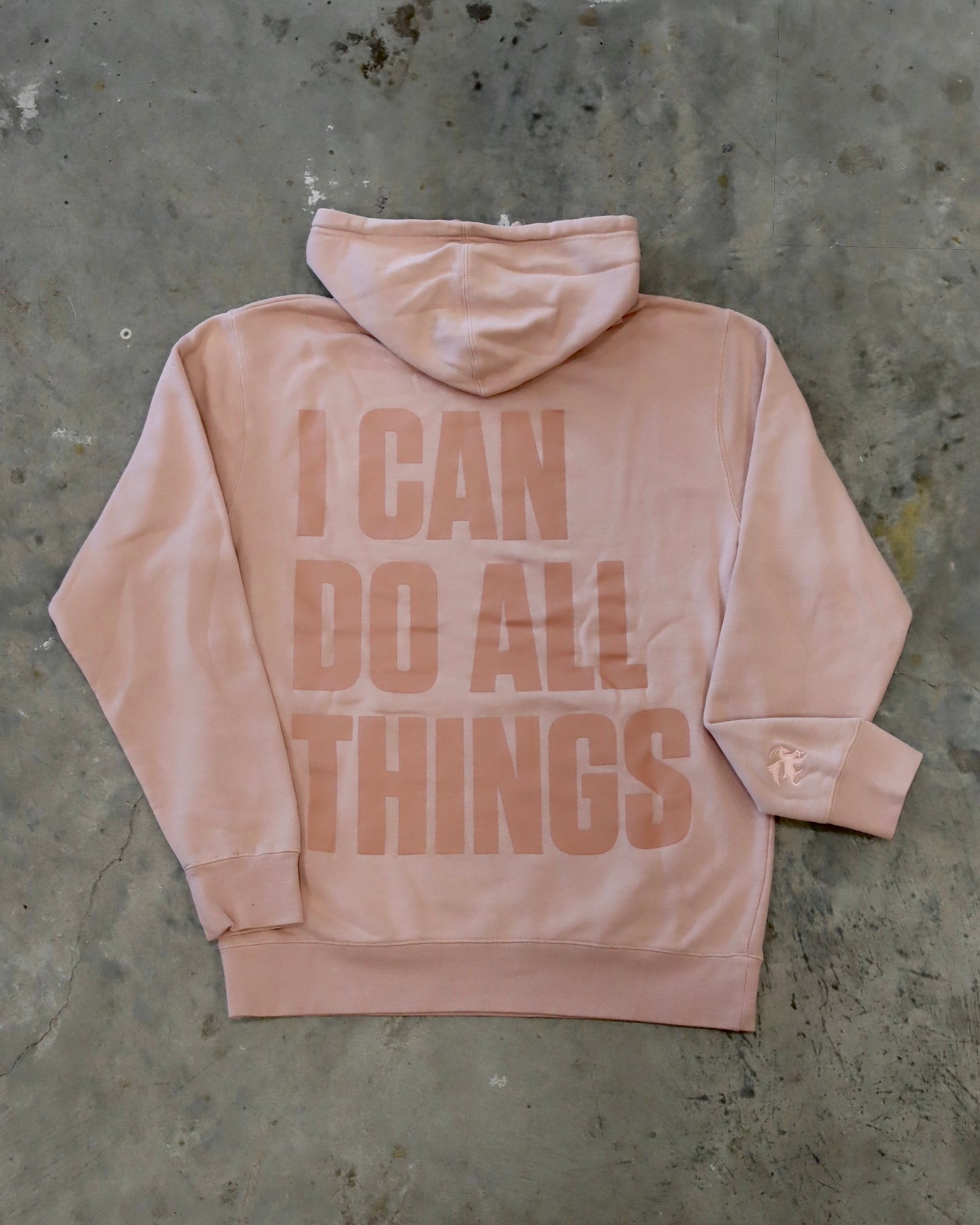 I Can Do All Things Hoodie