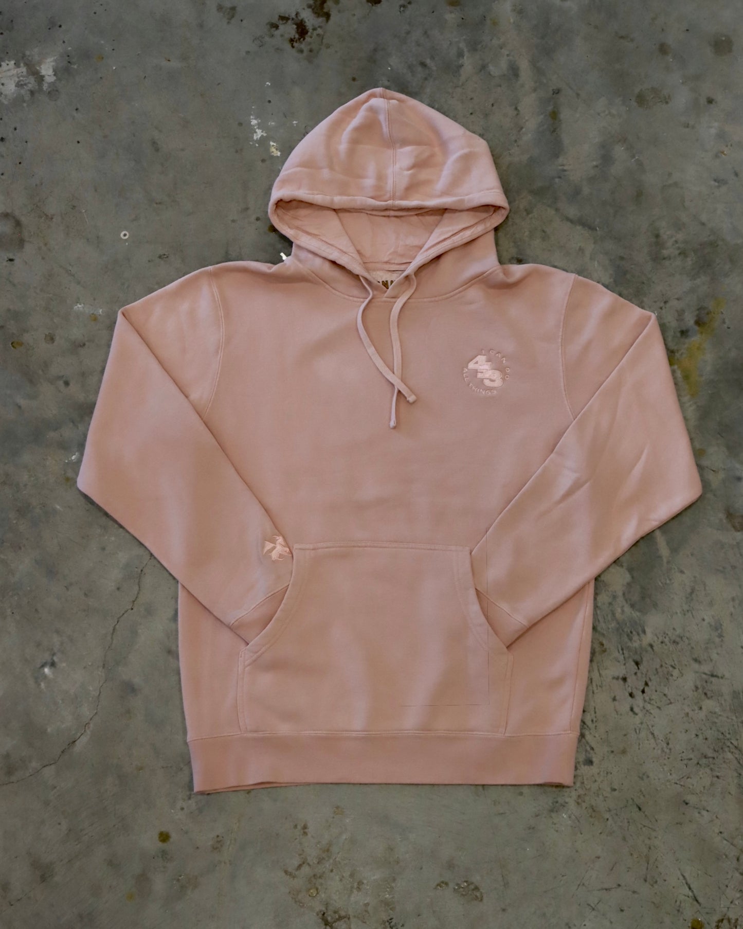 I Can Do All Things Hoodie