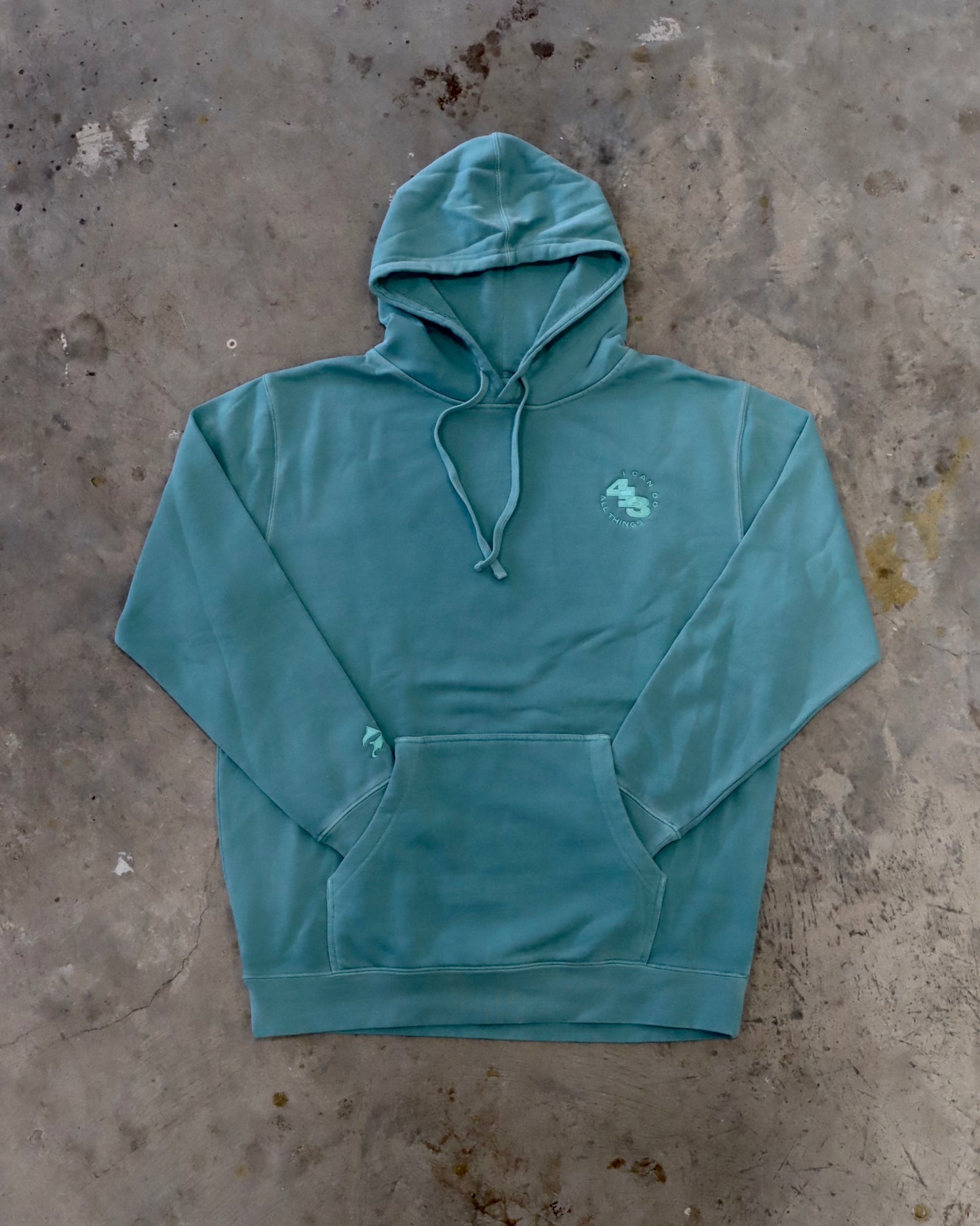 I Can Do All Things Hoodie