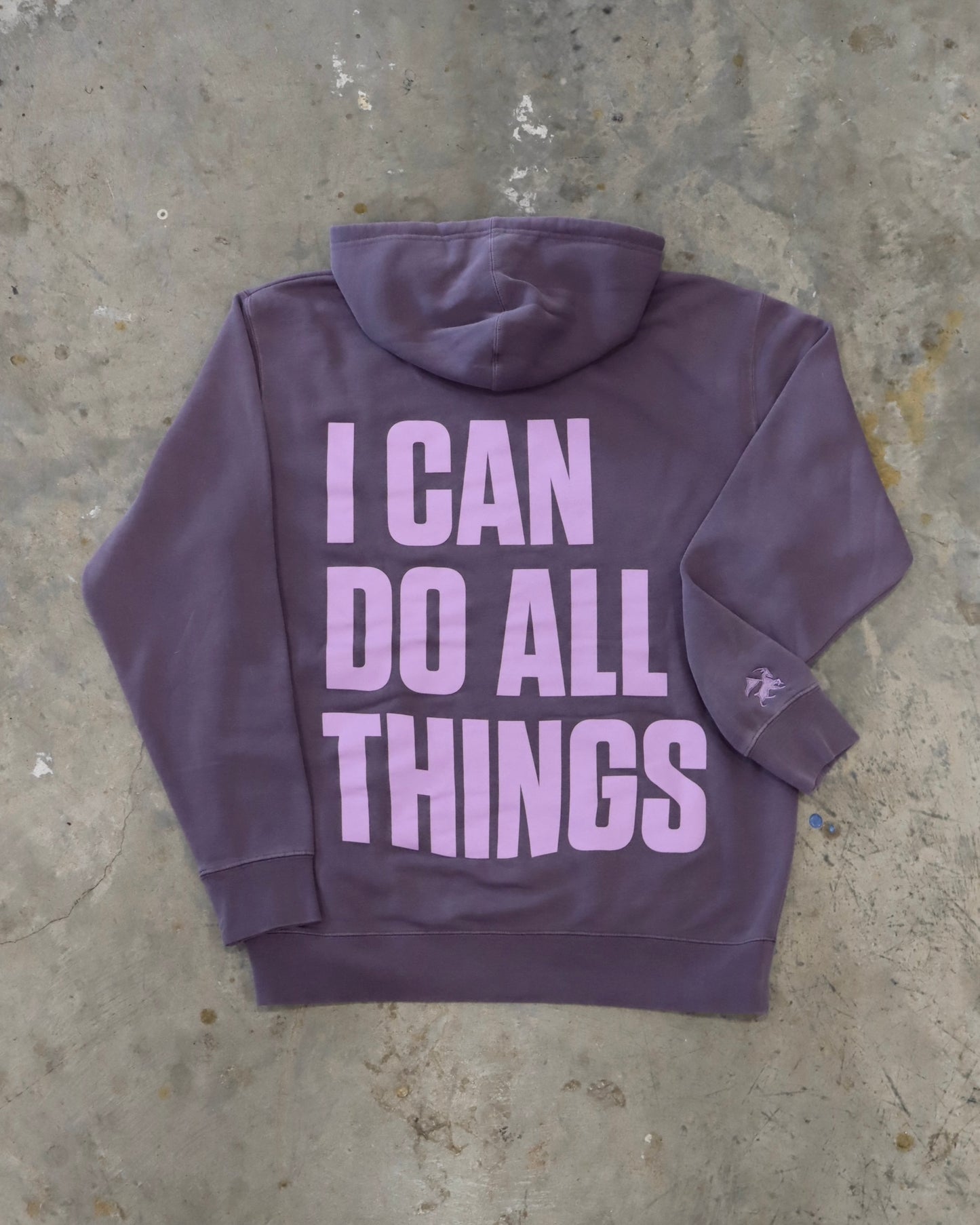 I Can Do All Things Hoodie
