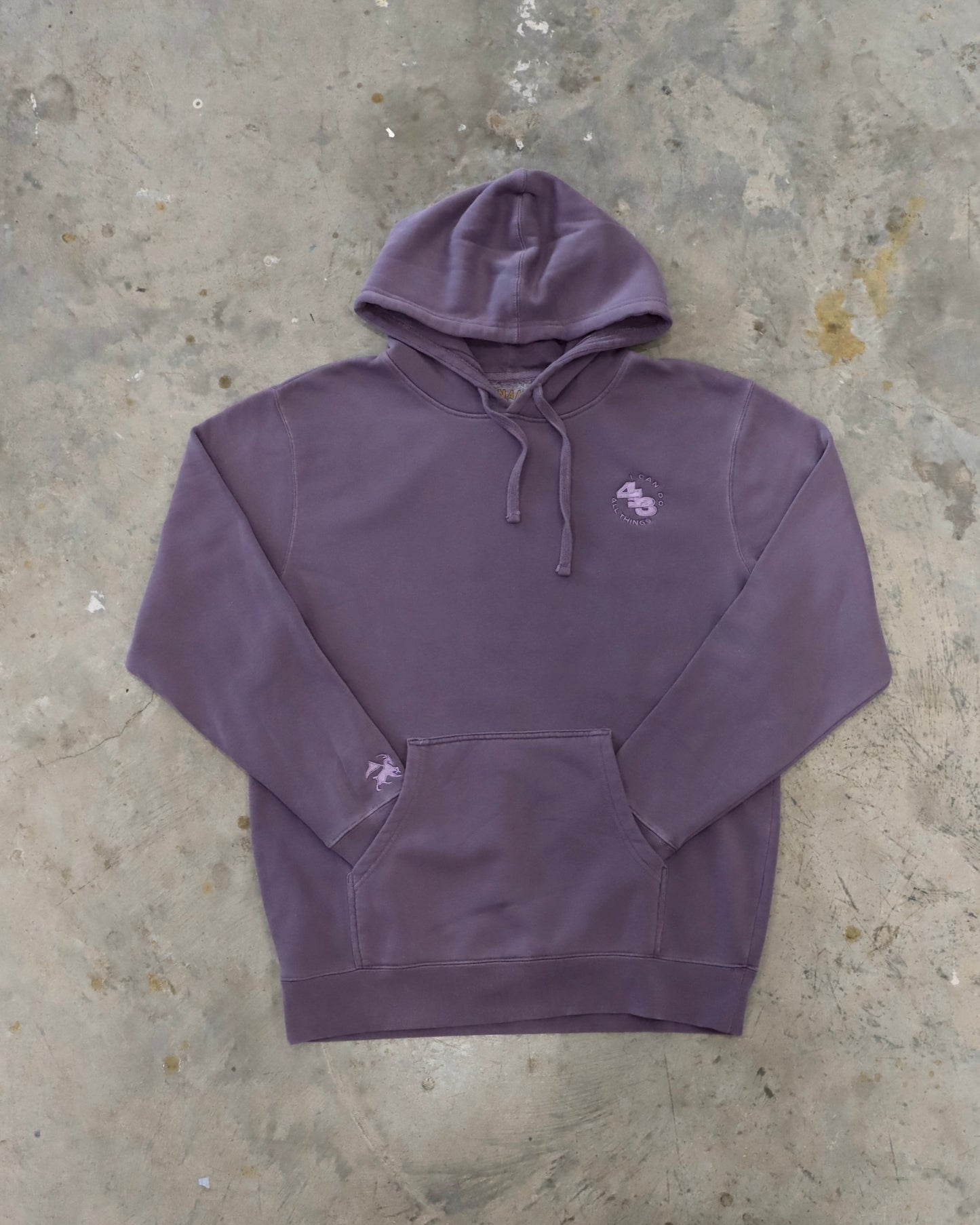 I Can Do All Things Hoodie